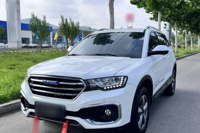 Used Haval H6 Coupe 2018 Blue Label 1.5T Automatic Two-Wheel Drive Ultra-Luxury Model