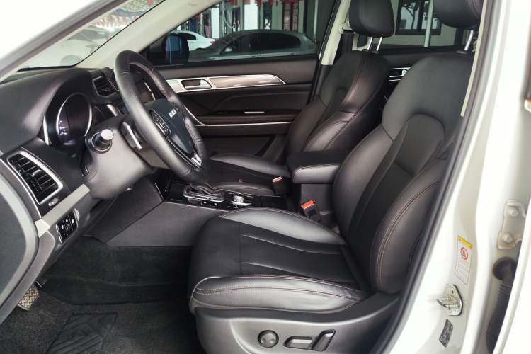 Used Haval H6 Coupe 2018 Blue Label 1.5T Automatic Two-Wheel Drive Ultra-Luxury Model Left Front Seat