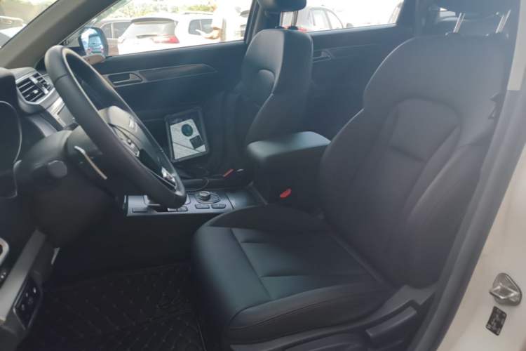 Used Haval H6 Coupe 2018 Blue Label 1.5T Automatic Two-Wheel Drive Luxury Model Left Front Seat