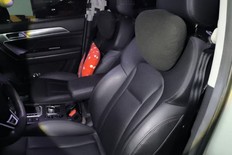 Used Haval H6 Coupe 2018 Blue Label 1.5T Automatic Two-Wheel Drive Ultra-Luxury Model Left Front Seat