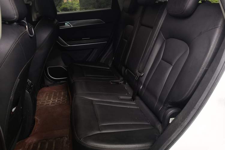 Used Haval H6 Coupe 2018 Blue Label 1.5T Automatic Two-Wheel Drive Luxury Model Left Rear Seat