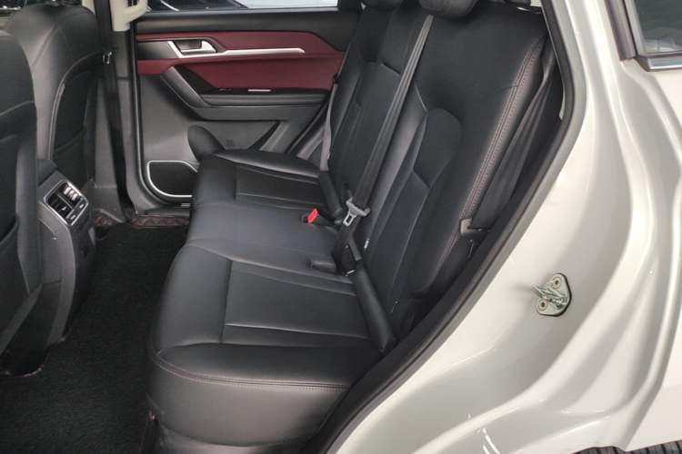 Used Haval H6 Coupe 2018 Red-Label 1.5T Automatic Two-Wheel Drive Ultra-Luxury Model Left Rear Seat