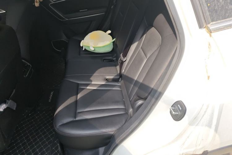 Used Haval H6 Coupe 2018 Blue Label 1.5T Automatic Two-Wheel Drive Luxury Model Left Rear Seat
