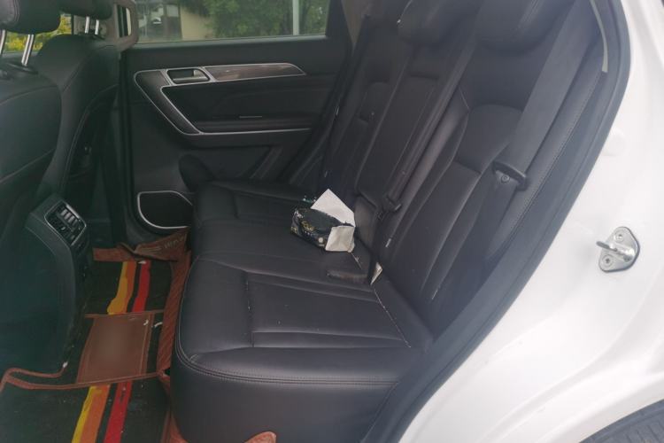 Used Haval H6 Coupe 2018 Blue Label 1.5T Automatic Two-Wheel Drive Ultra-Luxury Model Left Rear Seat
