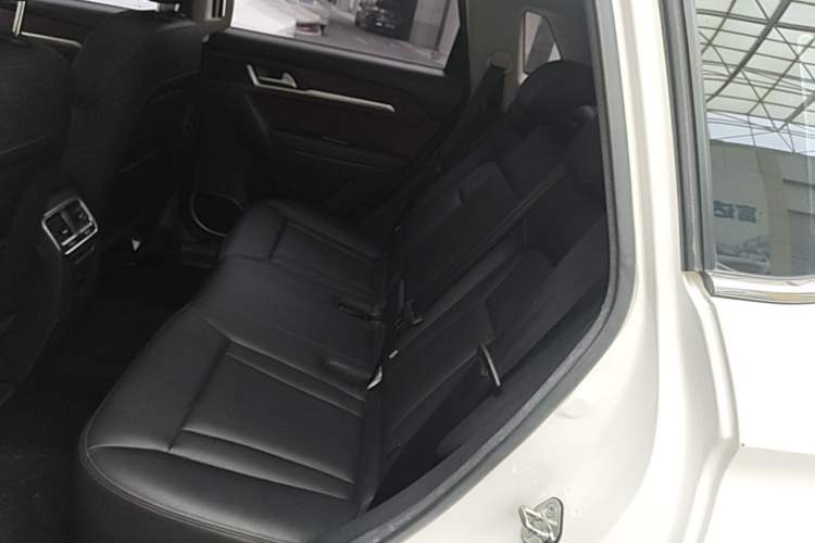 Used Haval H6 Coupe 2018 Red-Label 1.5T Automatic Two-Wheel Drive Ultra-Luxury Model Left Rear Seat