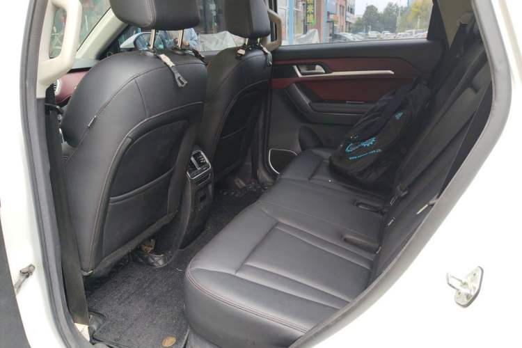 Used Haval H6 Coupe 2018 Red-Label 1.5T Automatic Two-Wheel Drive Ultra-Luxury Model Left Rear Seat