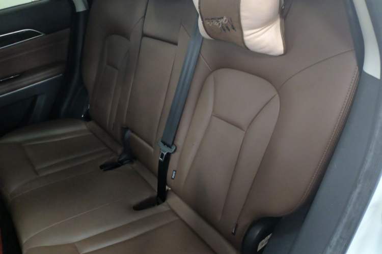Used Haval H6 Coupe 2018 Blue Label 1.5T Automatic Two-Wheel Drive Ultra-Luxury Model Left Rear Seat