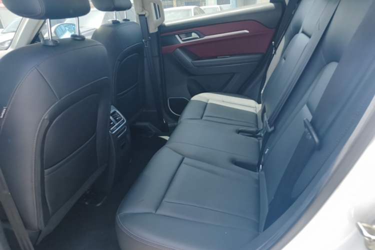 Used Haval H6 Coupe 2018 Red-Label 1.5T Automatic Two-Wheel Drive Ultra-Luxury Model Left Rear Seat