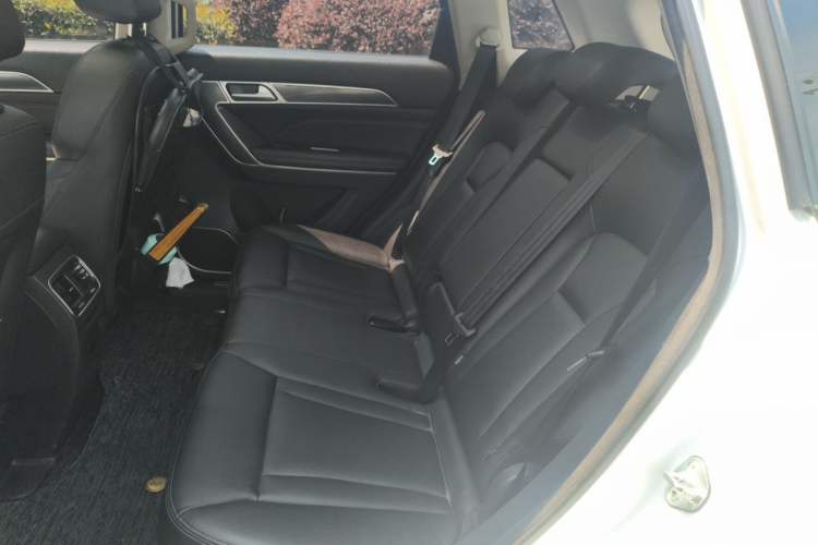 Used Haval H6 Coupe 2018 Blue Label 1.5T Automatic Two-Wheel Drive Ultra-Luxury Model Left Rear Seat