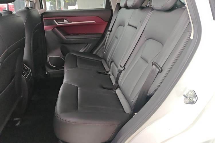 Used Haval H6 Coupe 2018 Red-Label 1.5T Automatic Two-Wheel Drive Ultra-Luxury Model Left Rear Seat