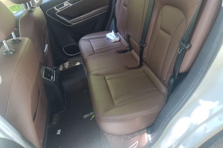 Used Haval H6 Coupe 2018 Blue Label 1.5T Automatic Two-Wheel Drive Luxury Model Left Rear Seat