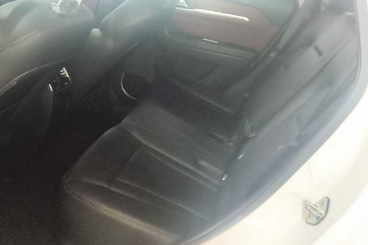 Used Haval H6 Coupe 2018 Red-Label 1.5T Automatic Two-Wheel Drive Luxury Model Left Rear Seat