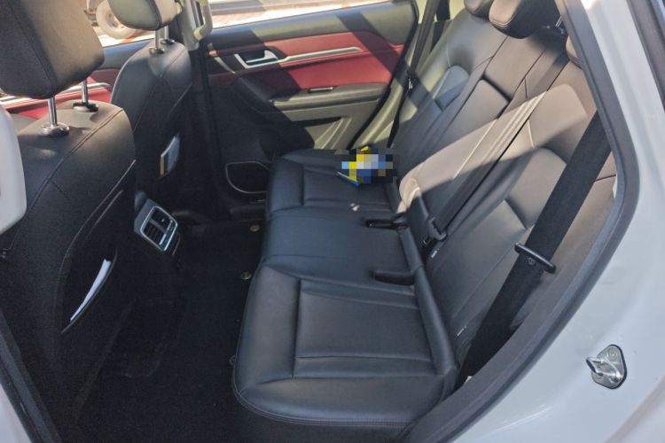 Used Haval H6 Coupe 2018 Red-Label 1.5T Automatic Two-Wheel Drive Ultra-Luxury Model Left Rear Seat