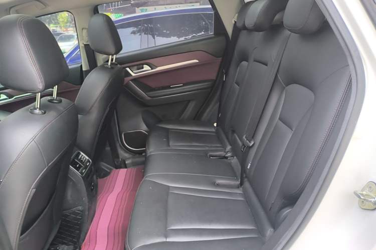 Used Haval H6 Coupe 2018 Red-Label 1.5T Automatic Two-Wheel Drive Ultra-Luxury Model Left Rear Seat