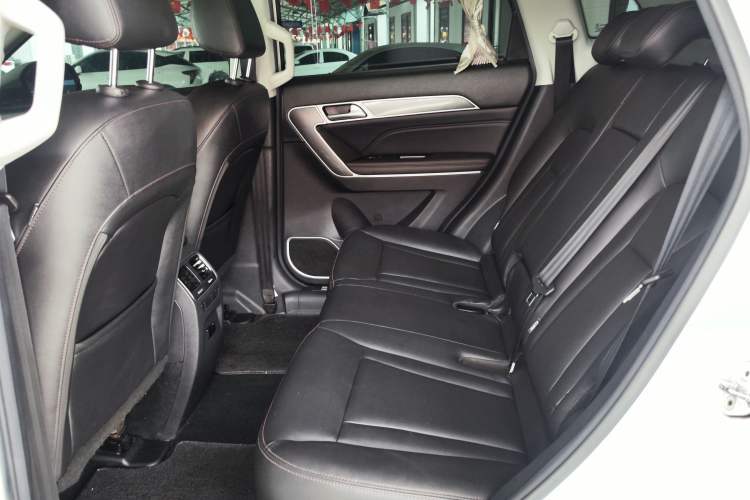 Used Haval H6 Coupe 2018 Blue Label 1.5T Automatic Two-Wheel Drive Ultra-Luxury Model Left Rear Seat