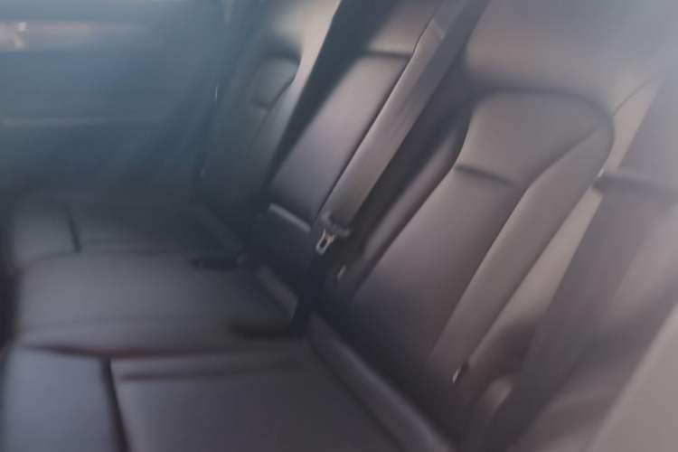 Used Haval H6 Coupe 2018 Blue Label 1.5T Automatic Two-Wheel Drive Luxury Model Left Rear Seat