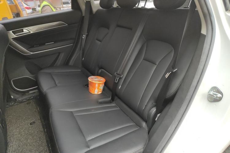 Used Haval H6 Coupe 2018 Blue Label 1.5T Automatic Two-Wheel Drive Luxury Model Left Rear Seat