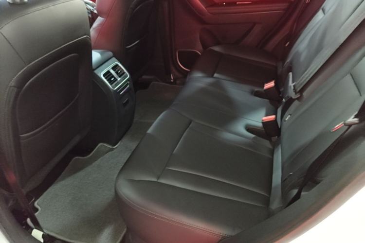 Used Haval H6 Coupe 2018 Red-Label 1.5T Automatic Two-Wheel Drive Ultra-Luxury Model Left Rear Seat