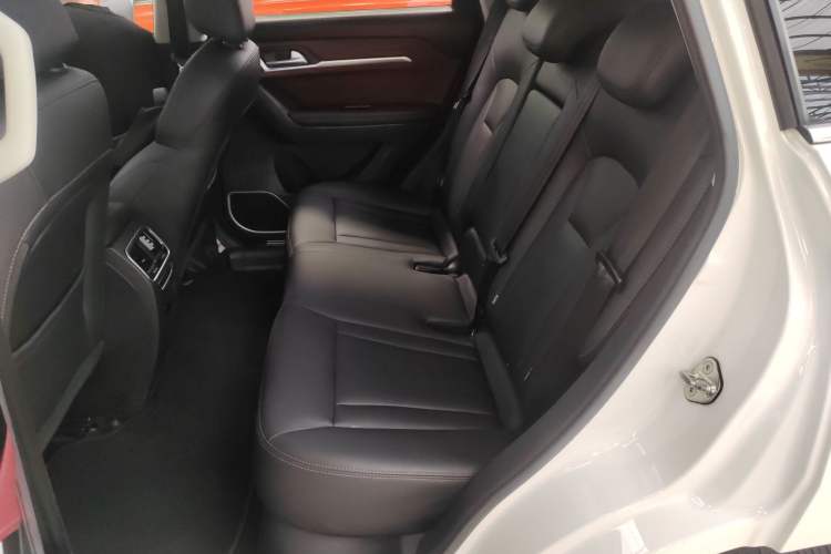 Used Haval H6 Coupe 2018 Red-Label 1.5T Automatic Two-Wheel Drive Luxury Model Left Rear Seat