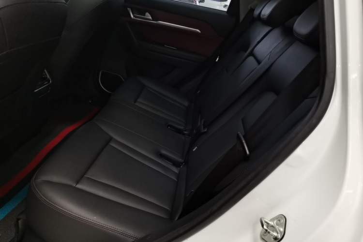 Used Haval H6 Coupe 2018 Red-Label 1.5T Automatic Two-Wheel Drive Ultra-Luxury Model Left Rear Seat