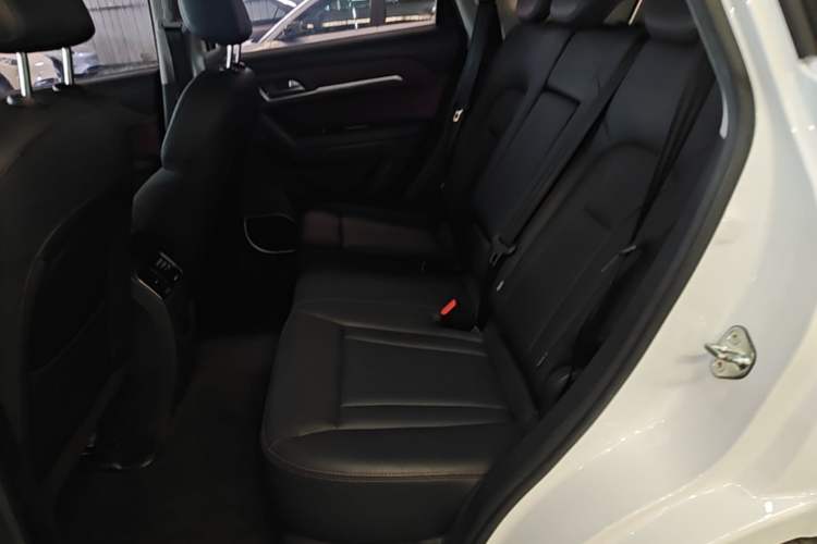 Used Haval H6 Coupe 2018 Red-Label 1.5T Automatic Two-Wheel Drive Luxury Model Left Rear Seat