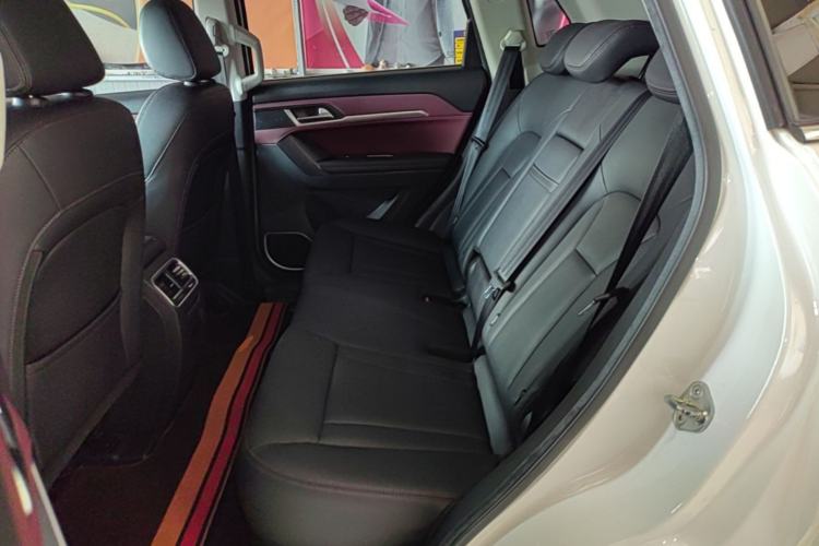 Used Haval H6 Coupe 2018 Red-Label 1.5T Automatic Two-Wheel Drive Ultra-Luxury Model Left Rear Seat