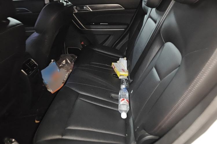 Used Haval H6 Coupe 2018 Blue Label 1.5T Automatic Two-Wheel Drive Ultra-Luxury Model Left Rear Seat