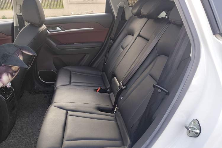Used Haval H6 Coupe 2018 Red-Label 1.5T Automatic Two-Wheel Drive Ultra-Luxury Model Left Rear Seat