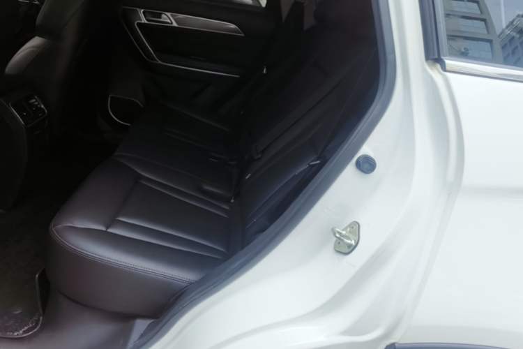 Used Haval H6 Coupe 2018 Blue Label 1.5T Automatic Two-Wheel Drive Luxury Model Left Rear Seat