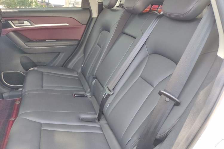 Used Haval H6 Coupe 2018 Red-Label 1.5T Automatic Two-Wheel Drive Ultra-Luxury Model Left Rear Seat