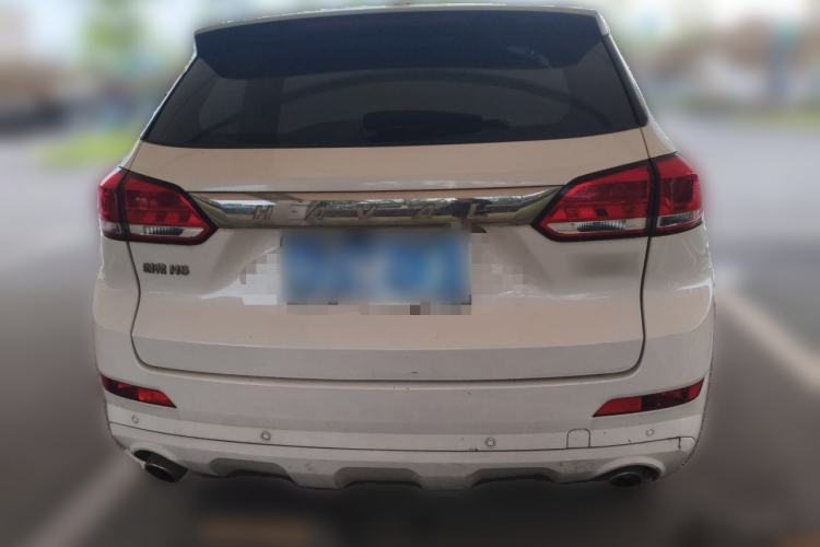 Used Haval H6 Coupe 2018 Red-Label 1.5T Automatic Two-Wheel Drive Luxury Model Rear