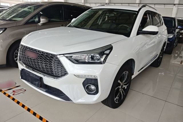 Gebrauchter Haval H6 Coupe 2018 Red-Label 1.5T Automatic Two-Wheel Drive Ultra-Luxury Model