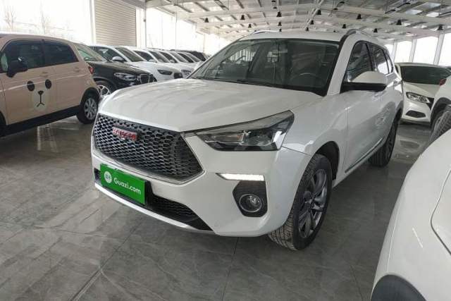 Used Haval H6 Coupe 2018 Red-Label 1.5T Automatic Two-Wheel Drive Ultra-Luxury Model