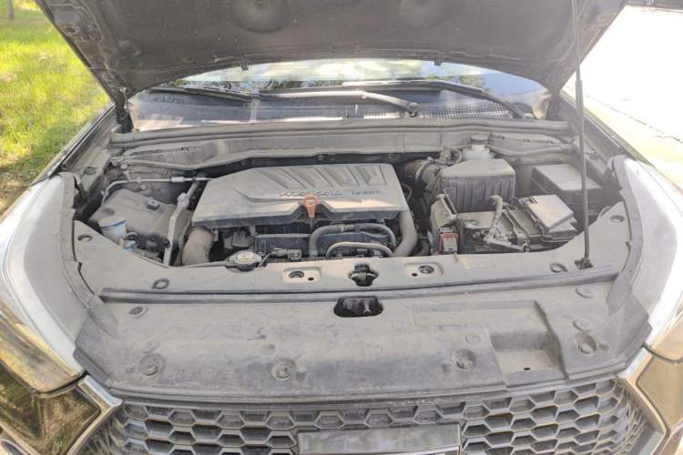 Used Haval H6 Coupe 2019 1.5T Automatic Two-Wheel Drive Elite Version China VI Standard Engine Bay