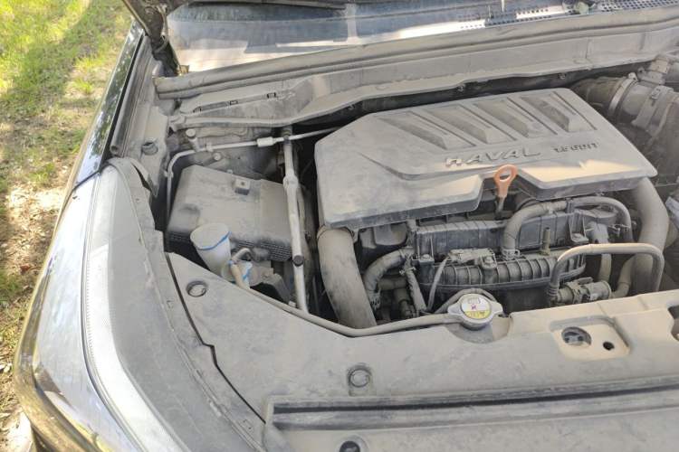 Used Haval H6 Coupe 2019 1.5T Automatic Two-Wheel Drive Elite Version China VI Standard Engine Bay Right