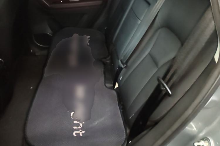 Used Haval H6 Coupe 2019 1.5T Automatic Two-Wheel Drive Luxury Smart Connectivity Version China V Standard Left Rear Seat
