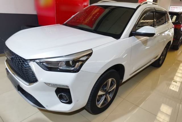 Used Haval H6 Coupe 2019 1.5T Automatic Two-Wheel Drive Luxury Smart Connectivity Version China VI Standard