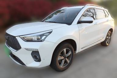 Used Haval H6 Coupe 2019 1.5T Automatic Two-Wheel Drive Luxury Smart Connectivity Version China VI Standard