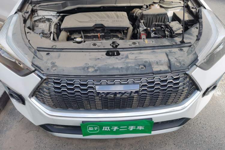 Used Haval H6 Coupe 2019 1.5T Automatic Two-Wheel Drive Elite Version China V Standard Engine Bay