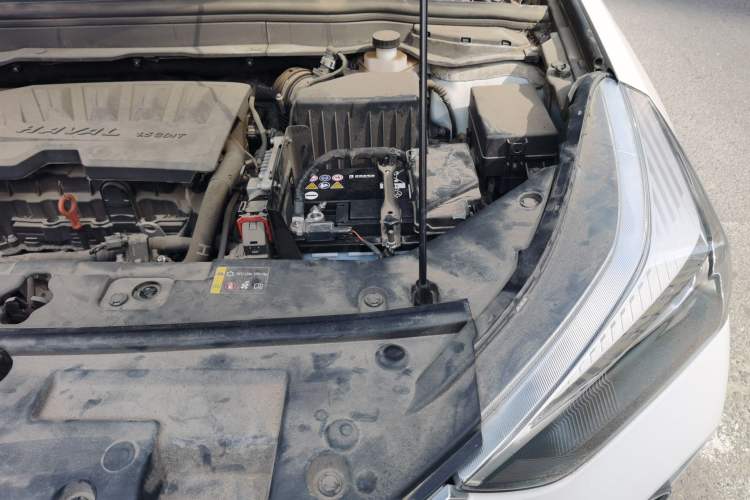 Used Haval H6 Coupe 2019 1.5T Automatic Two-Wheel Drive Elite Version China V Standard Engine Bay Left