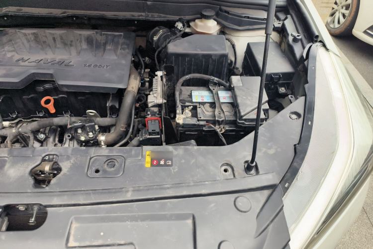 Used Haval H6 Coupe 2019 1.5T Automatic Two-Wheel Drive Luxury Smart Connectivity Version China V Standard Engine Bay Left