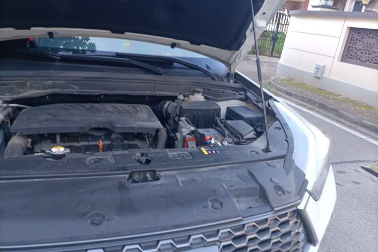 Used Haval H6 Coupe 2019 1.5T Automatic Two-Wheel Drive Elite Version China V Standard Engine Bay Left
