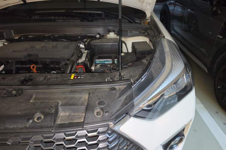 Used Haval H6 Coupe 2019 1.5T Automatic Two-Wheel Drive Elite Version China V Standard Engine Bay Left