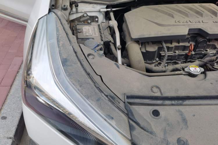 Used Haval H6 Coupe 2019 1.5T Automatic Two-Wheel Drive Elite Version China V Standard Engine Bay Right