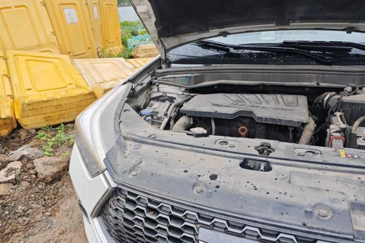 Used Haval H6 Coupe 2019 1.5T Automatic Two-Wheel Drive Luxury Smart Connectivity Version China V Standard Engine Bay Right