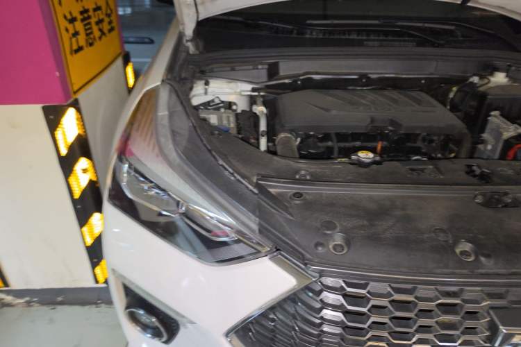Used Haval H6 Coupe 2019 1.5T Automatic Two-Wheel Drive Elite Version China V Standard Engine Bay Right
