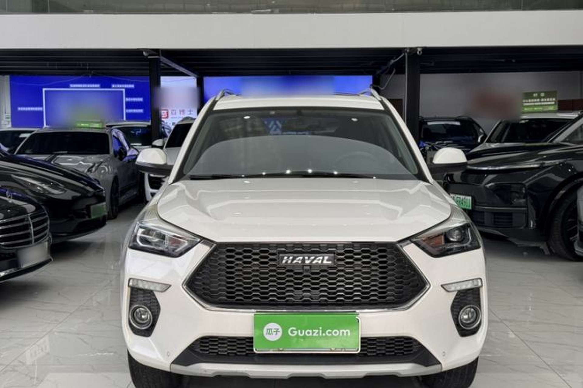 Used Haval H6 Coupe 2019 1.5T Automatic Two-Wheel Drive Luxury Smart Connectivity Version China VI Standard Exterior 2