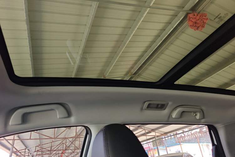 Used Haval H6 Coupe 2019 1.5T Automatic Two-Wheel Drive Elite Version China VI Standard Headliner