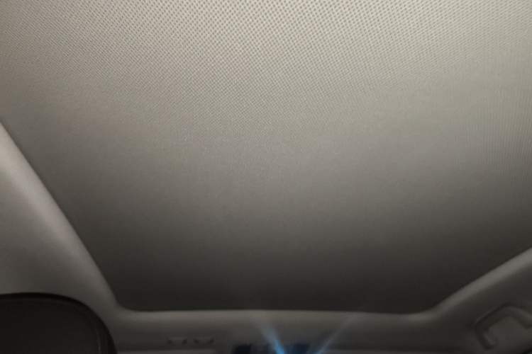 Used Haval H6 Coupe 2019 1.5T Automatic Two-Wheel Drive Elite Version China VI Standard Headliner