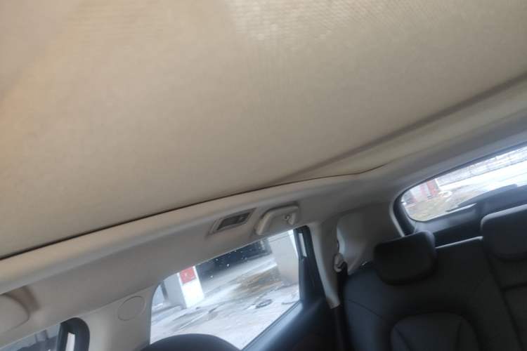 Used Haval H6 Coupe 2019 1.5T Automatic Two-Wheel Drive Elite Version China VI Standard Headliner